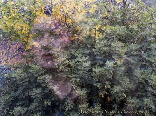 Photo / φωτογραφία