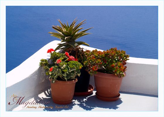Photo / φωτογραφία
