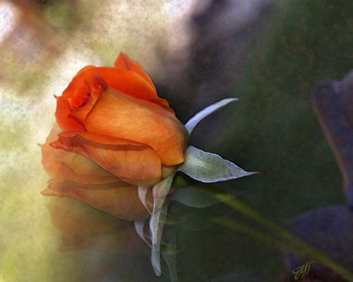 Digital manipulated photos / Ψηφιακή Επεξεργασία φωτογραφιών