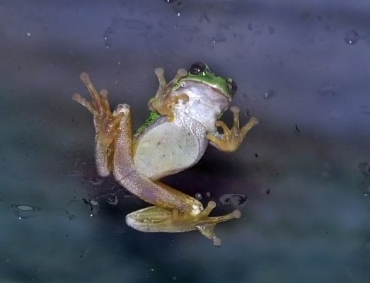 Photo / φωτογραφία