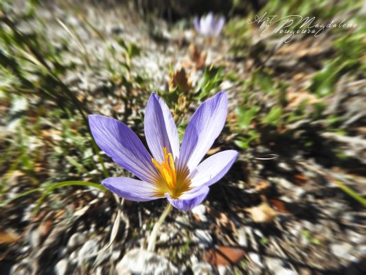 Digital manipulated photos / Ψηφιακή Επεξεργασία φωτογραφιών