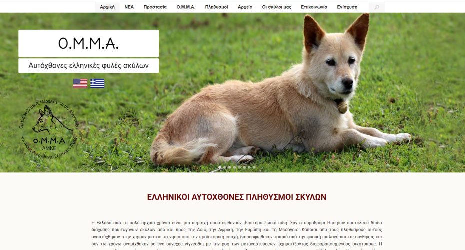 WEB Design / Κατασκευή & Φιλοτέχνηση ιστοσελίδας: alopekis.gr